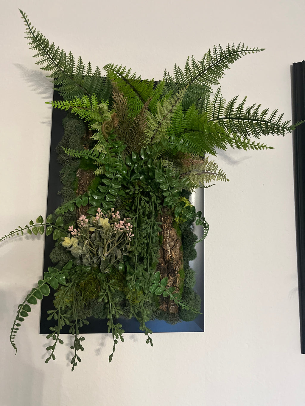 moss wall art bundle