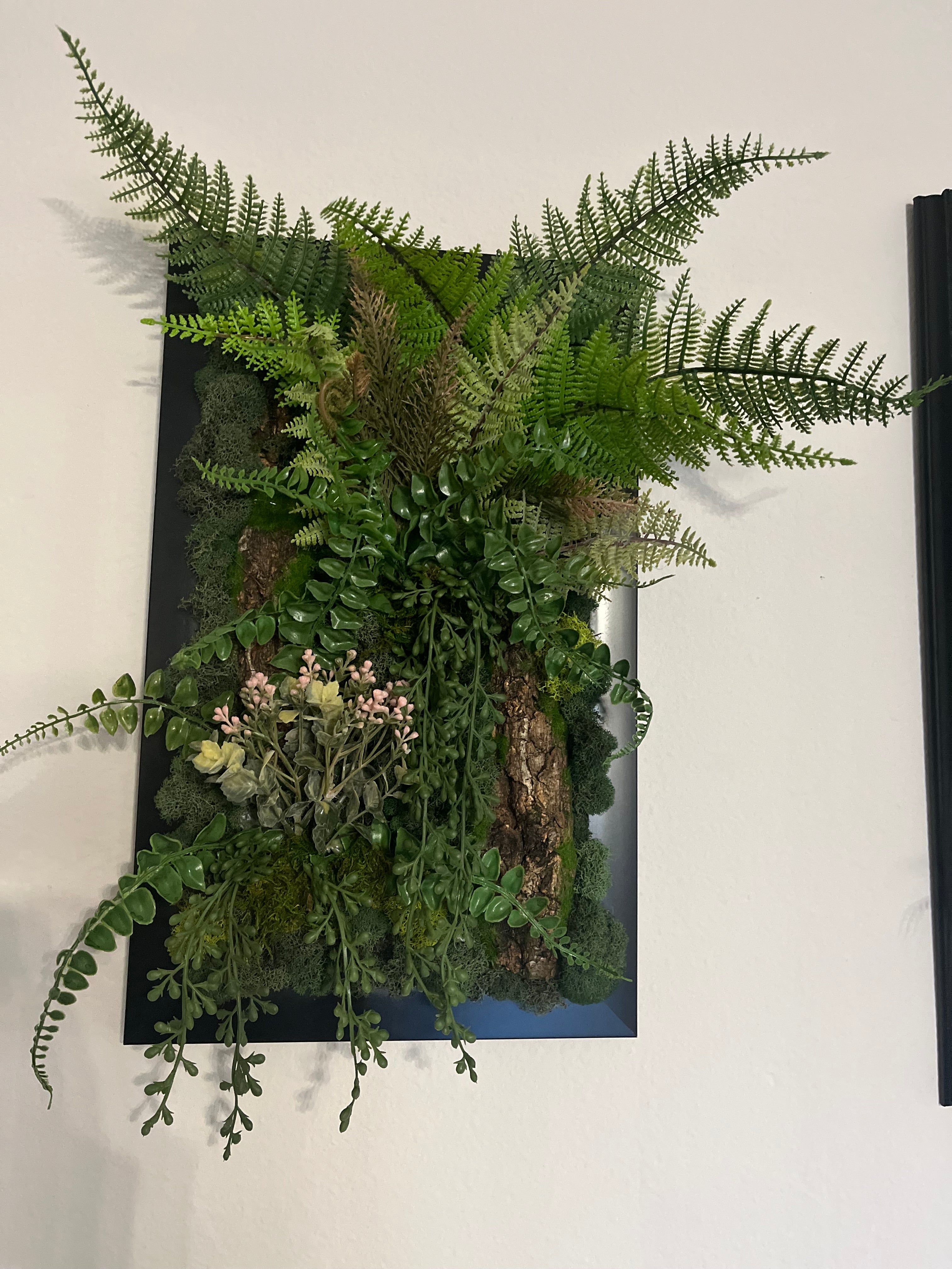 moss wall art bundle