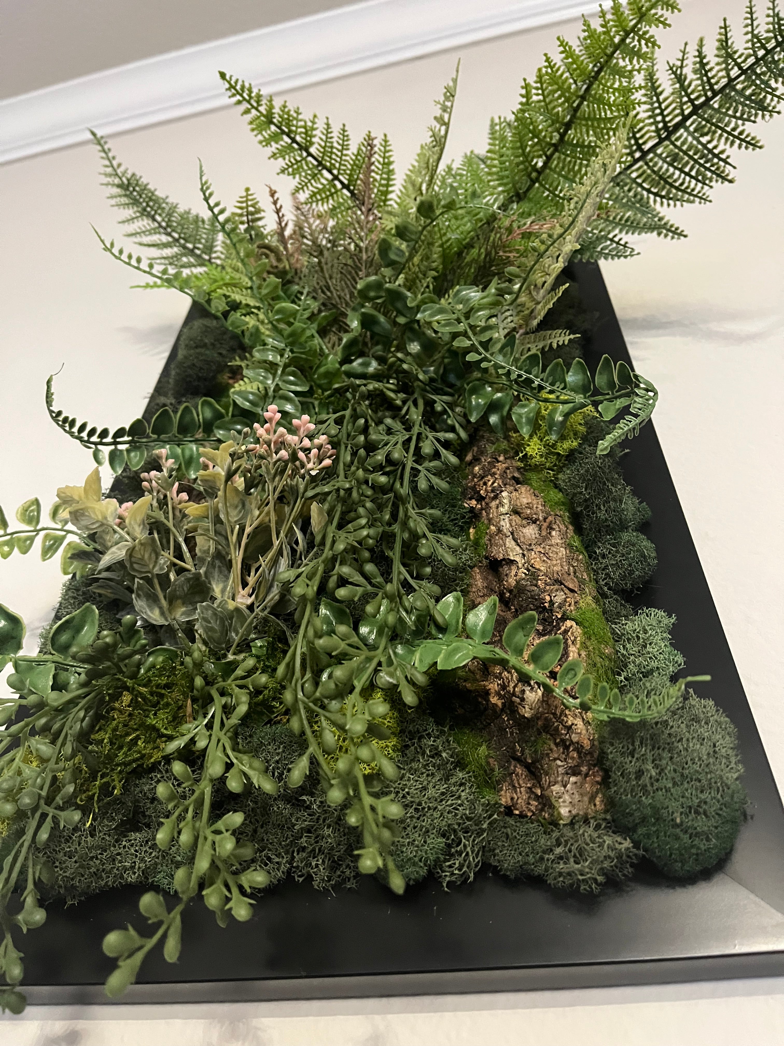 moss wall art bundle