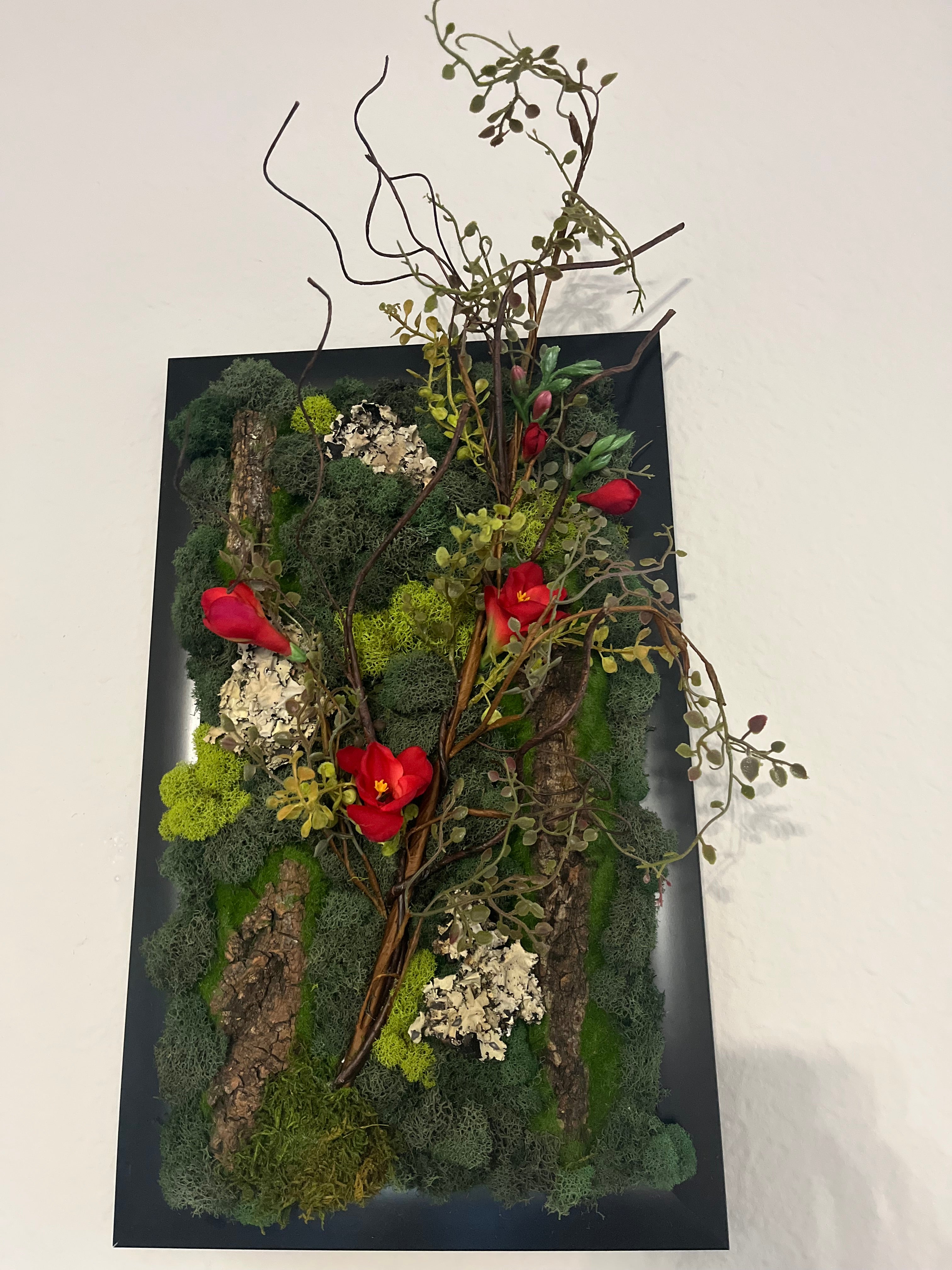 moss wall art bundle