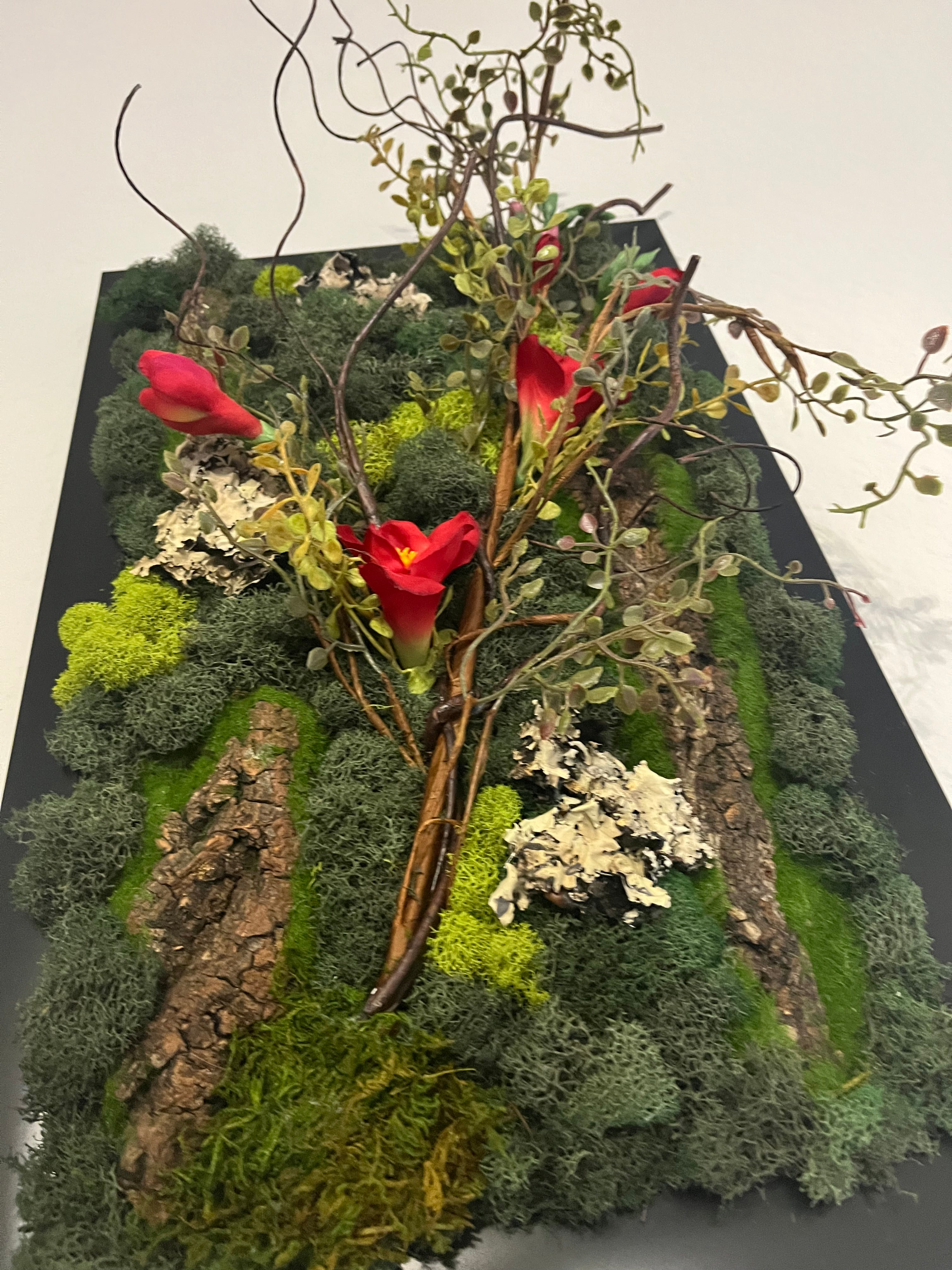 moss wall art bundle