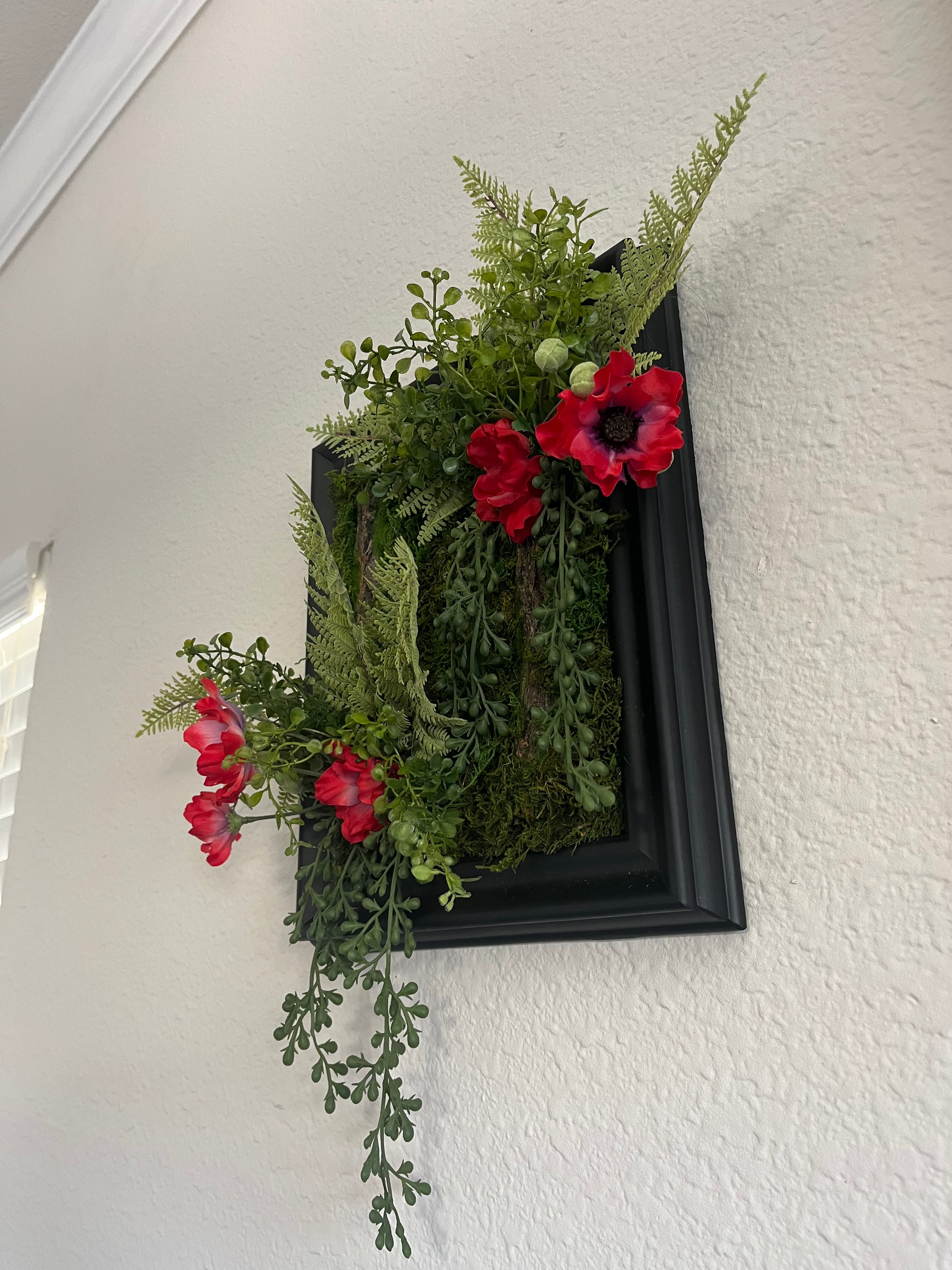 Poppy Anemones