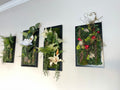 moss wall art bundle